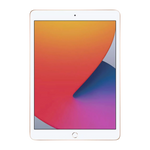 iPad 8th Gen (Wifi)