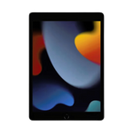 iPad 9th Gen