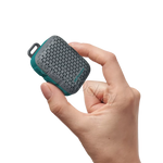 Boks Muzike i vogel Pocket S HiFuture