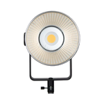 Godox FV200