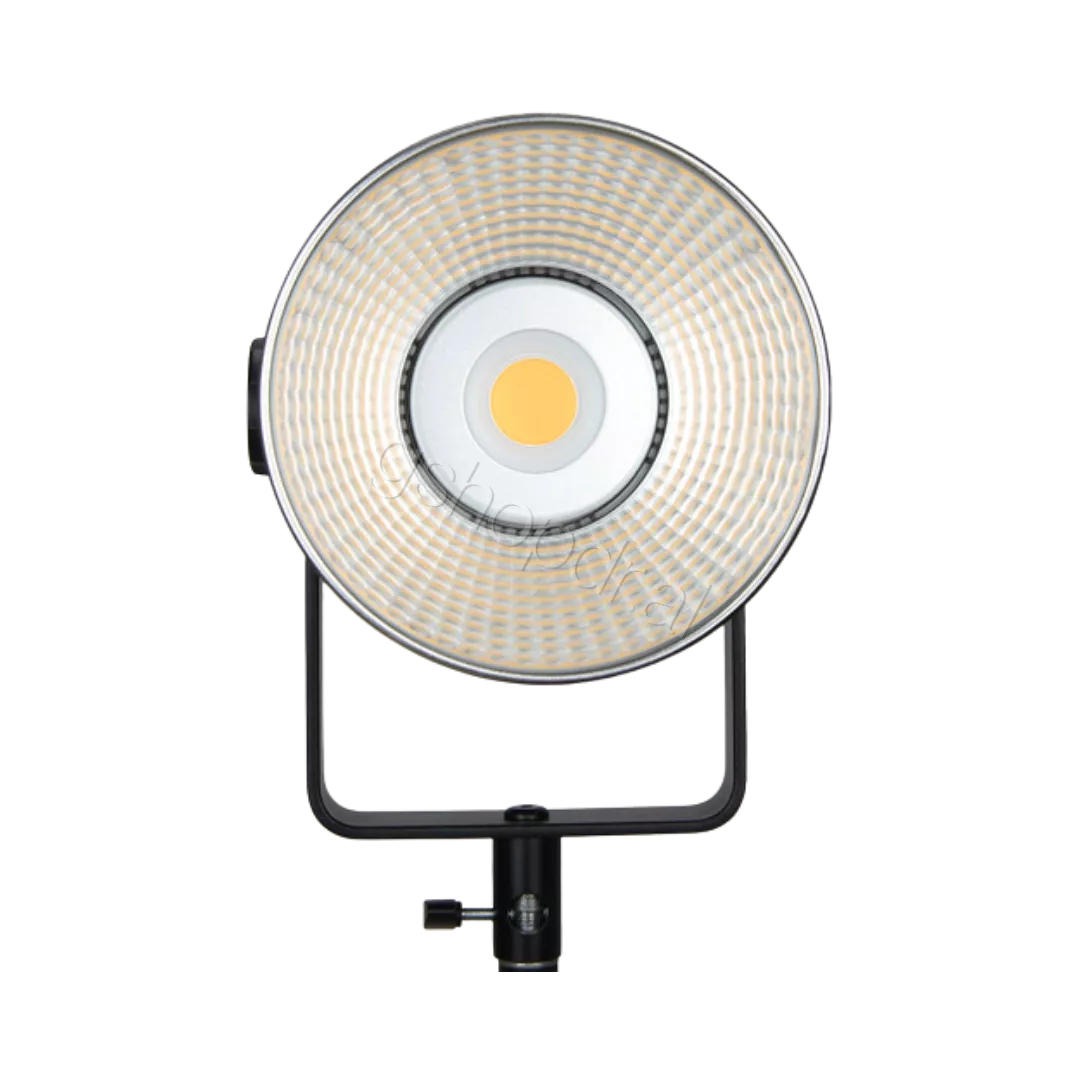 Godox FV200