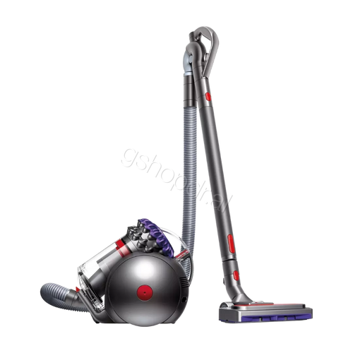 FSHESE DYSON BIG BALL ABSOLUTE 2