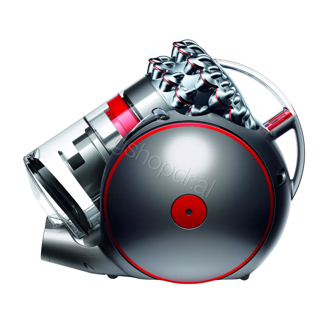FSHESE DYSON BIG BALL ABSOLUTE 2