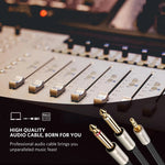 Fishe audio UGREEN 3.5mm TRS në 2x 6.35mm TS  10615 Cmimi