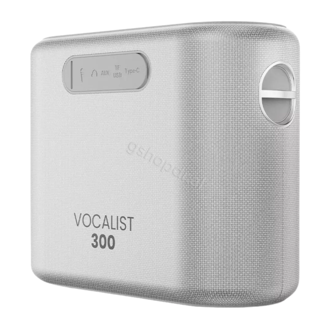 HiFuture Vocalist 300