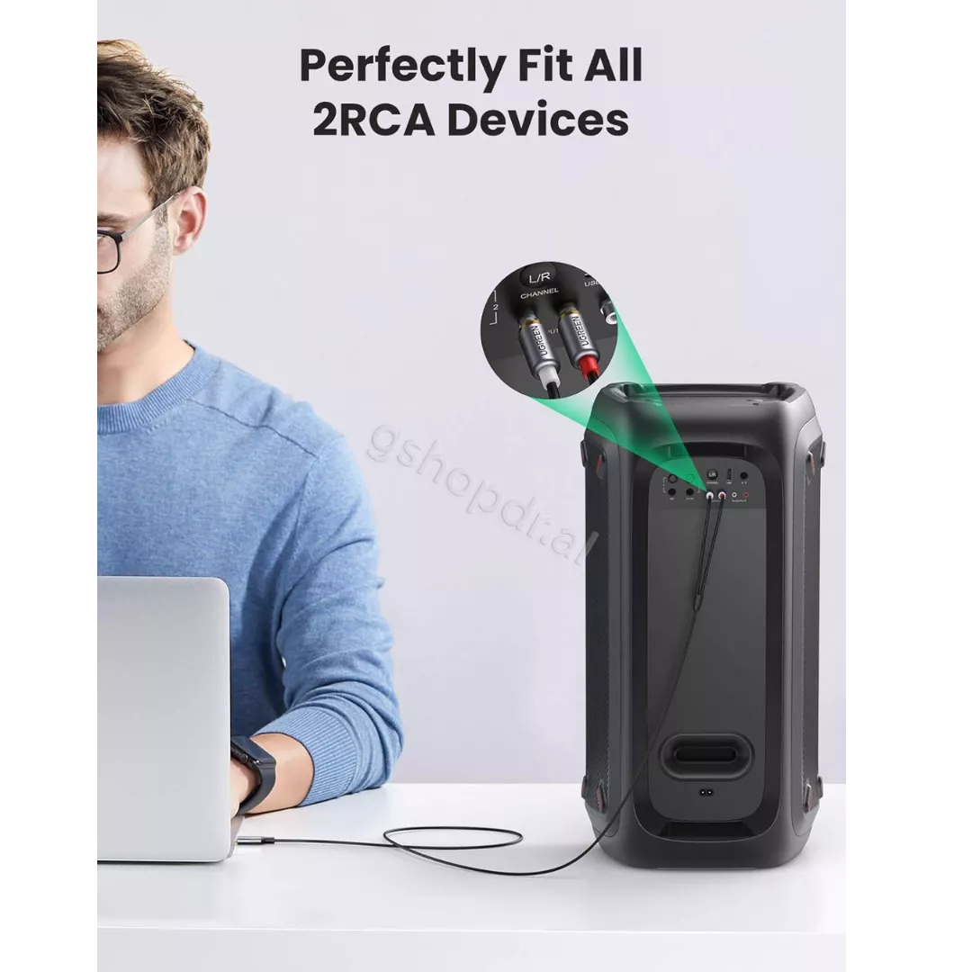 Kabell Audio USB-C (M) ne 2 RCA (M) 1.5m Ugreen 20193 cmimi