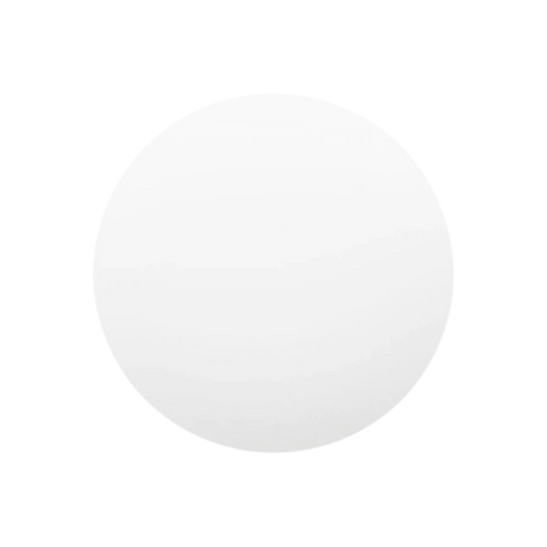 Xiaomi Mi Smart LED Ceiling Light (350mm)