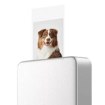 Printer Xiaomi Pro cmimi gshopdr.al