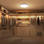 Xiaomi Smart Ceiling Light D20 price