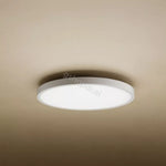 Xiaomi Smart Ceiling Light D40 price