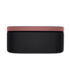  Presentation case