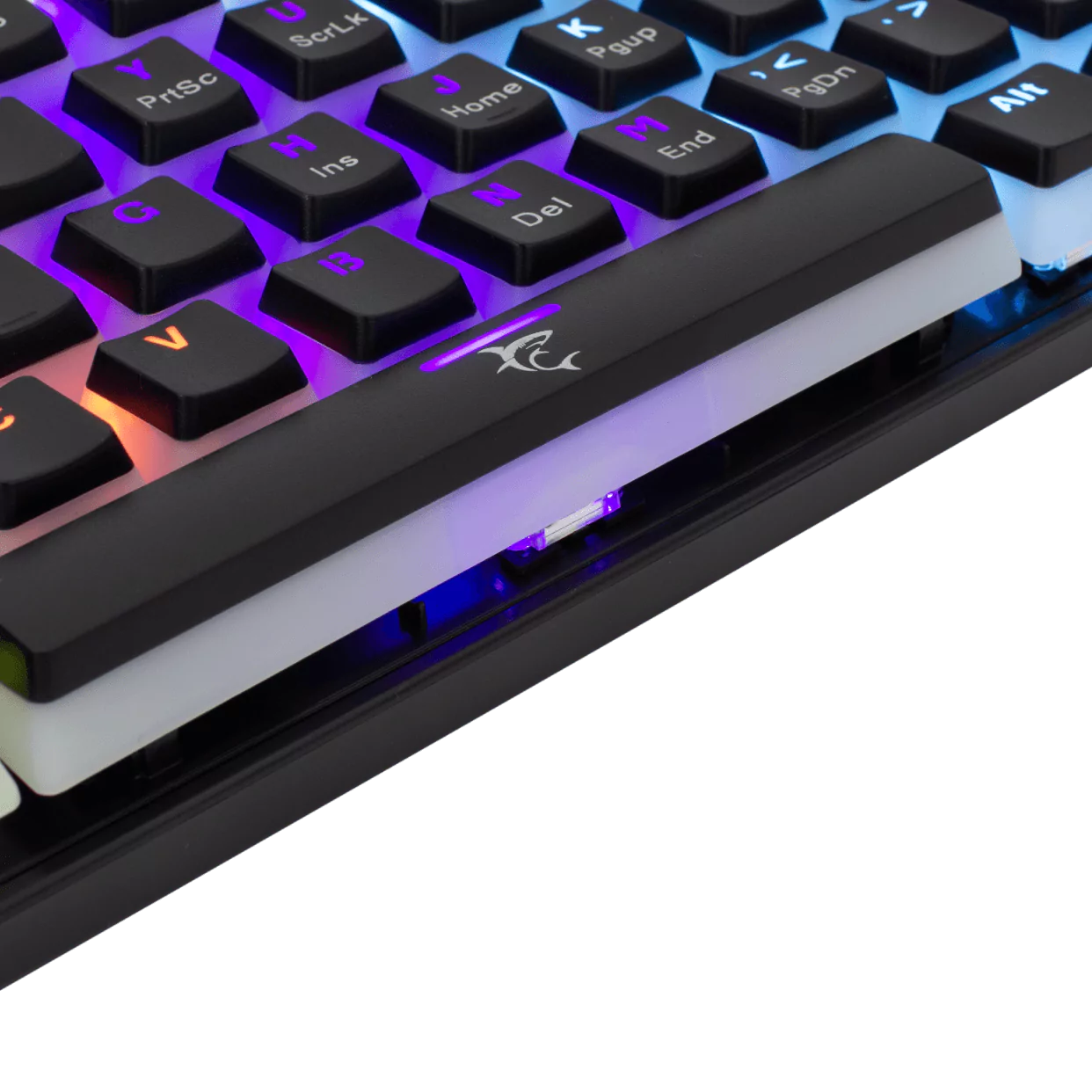 Tastierë Gaming Ashiko White Shark
