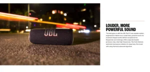 JBL Flip 6