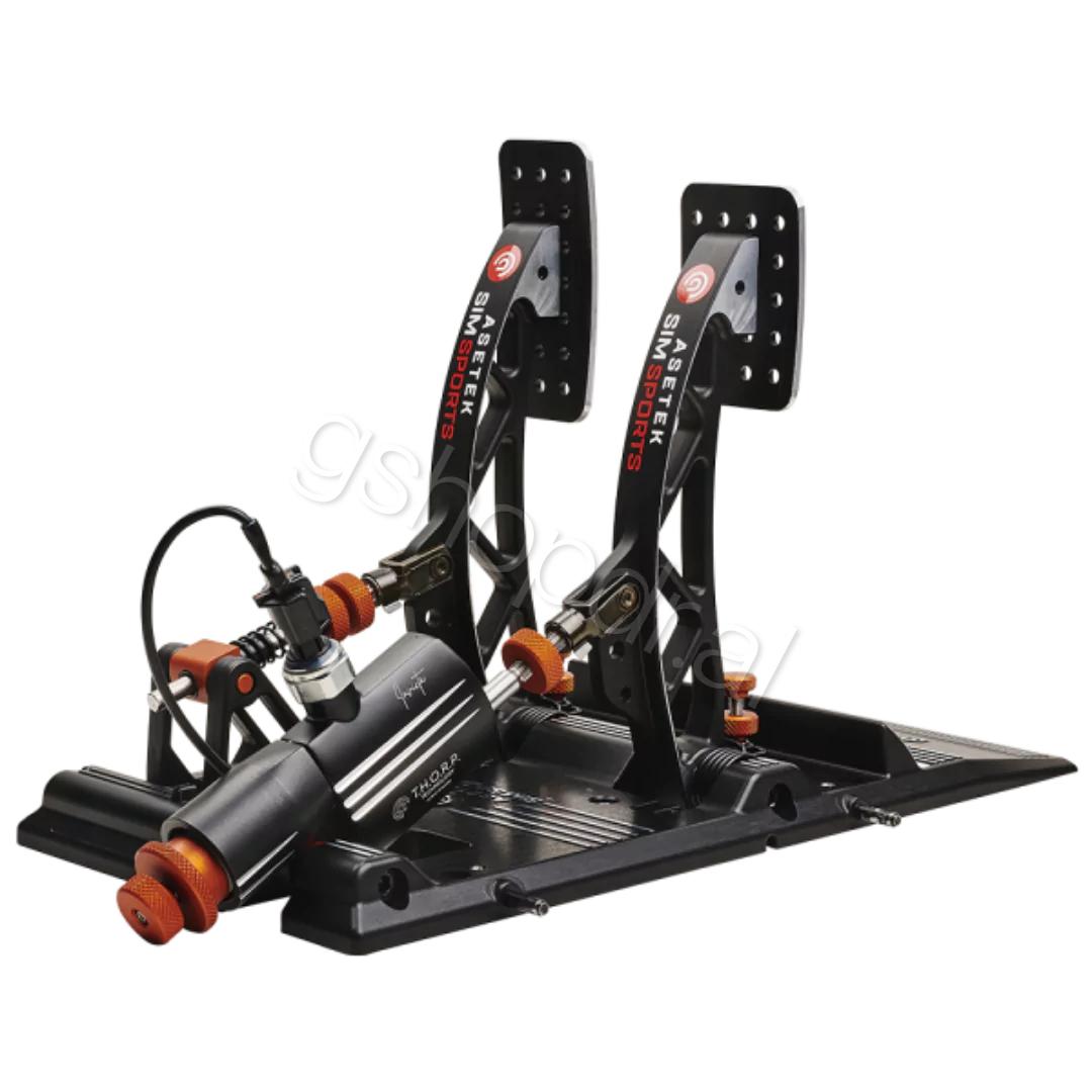 Invicta™ Sim Racing Pedals Brake & Throttle Durres