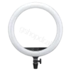 LED Ring Light LR150 Godox