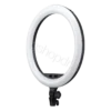 LED Ring Light LR150 Godox Durres