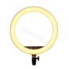 DRITE LED LR150 Godox