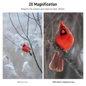 NEEWER LS-41 PRO 60mm Telephoto Lens with 17mm Lens Clip & 67mm Filter Adapter Durres