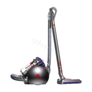 FSHESE DYSON CINETIC BIG BALL ABSOLUTE 2