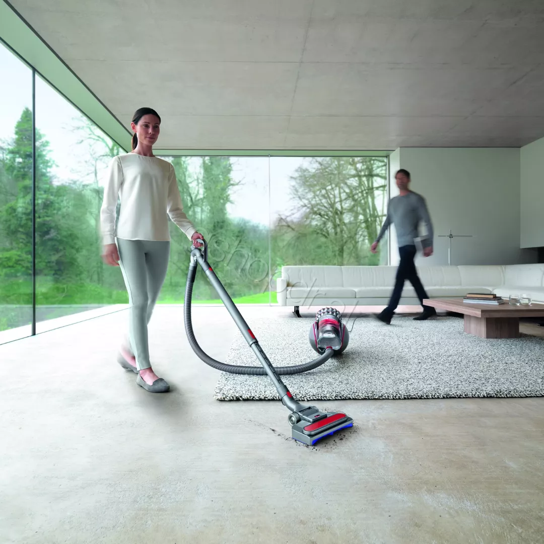 FSHESE DYSON CINETIC BIG BALL ABSOLUTE 2 (10)